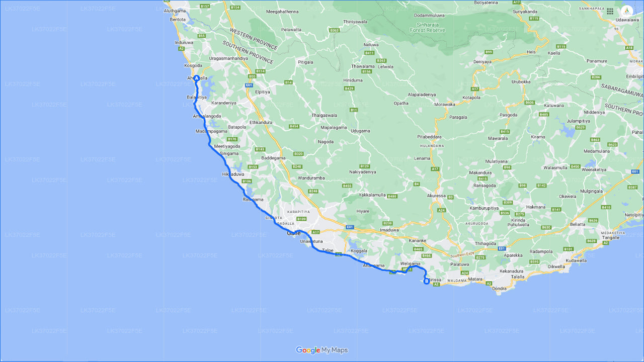 从阿洪加拉乘坐共享船观赏鲸鱼