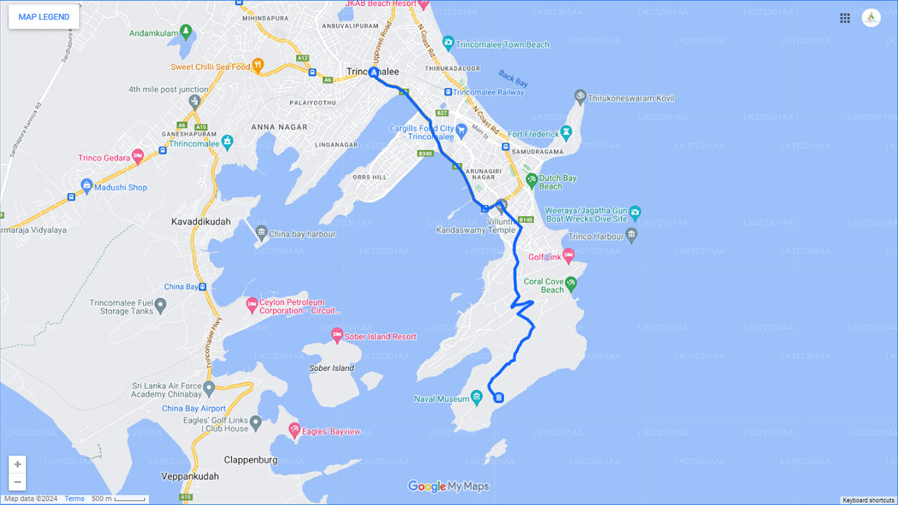 从亭可马里乘坐私人游艇观赏鲸鱼