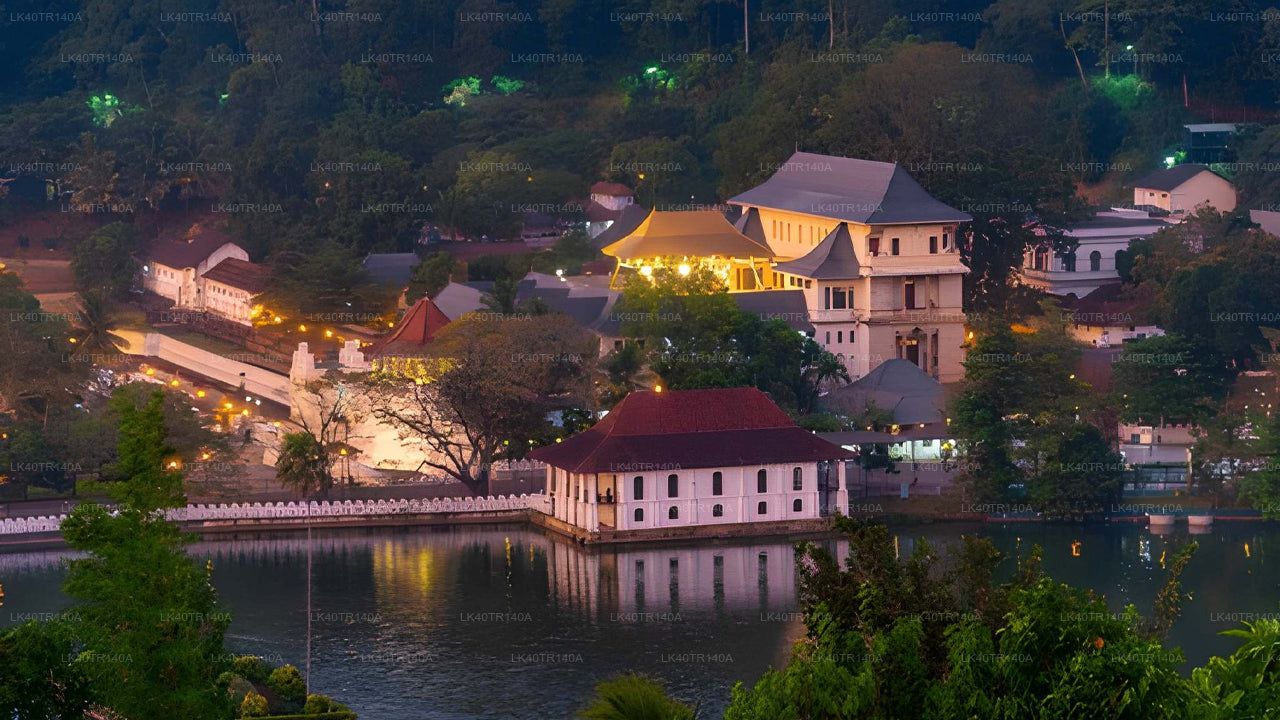 从埃拉到康提：火车、汽车或面包车沿途美景之旅