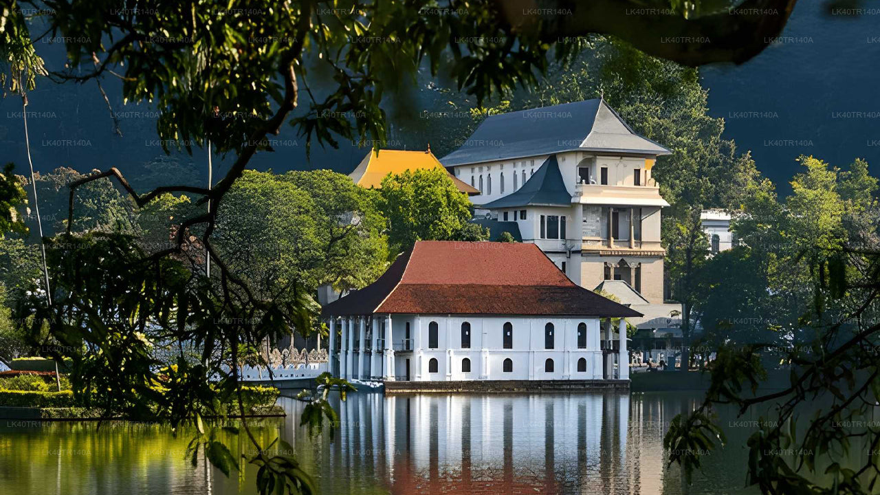 从埃拉到康提：火车、汽车或面包车沿途美景之旅