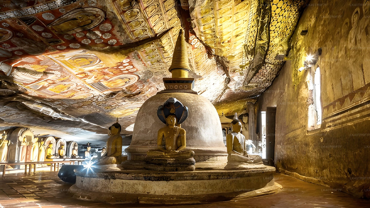 从科伦坡到锡吉里耶的私人接送服务（含观光站点）