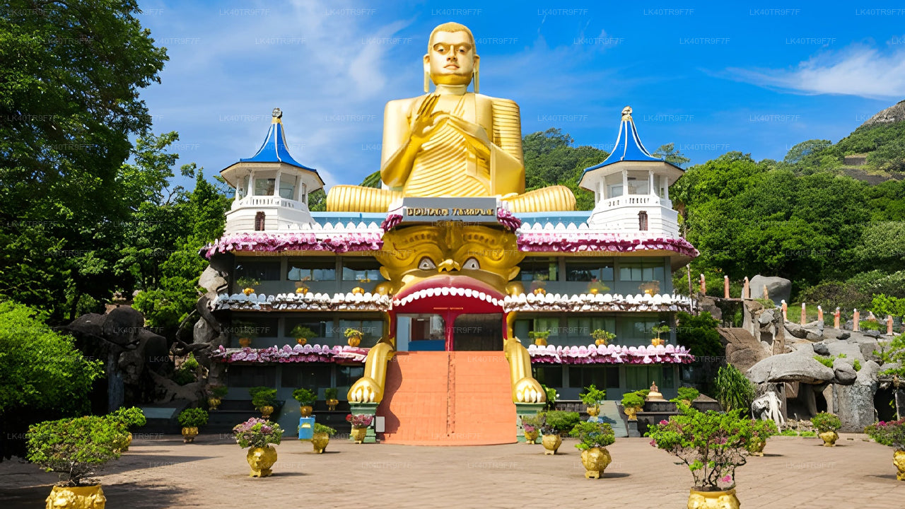 从科伦坡到锡吉里耶的私人接送服务（含观光站点）