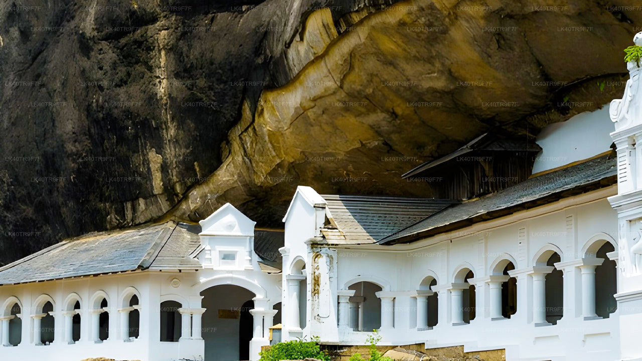 从科伦坡到锡吉里耶的私人接送服务（含观光站点）