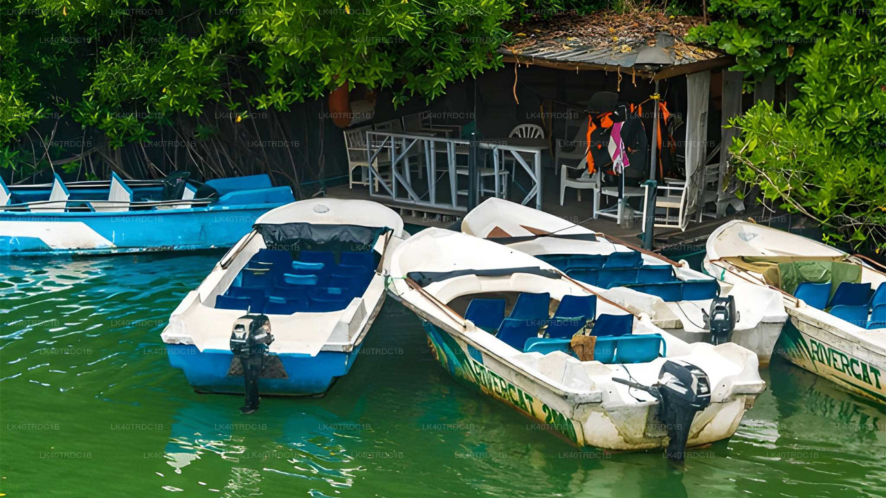 从尼甘布到希里凯蒂亚的私人接送服务（含观光停留）