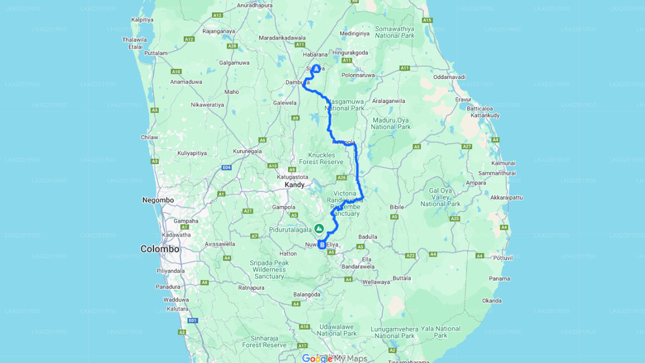 Sigiriya City to Nuwara Eliya City Private Transfer