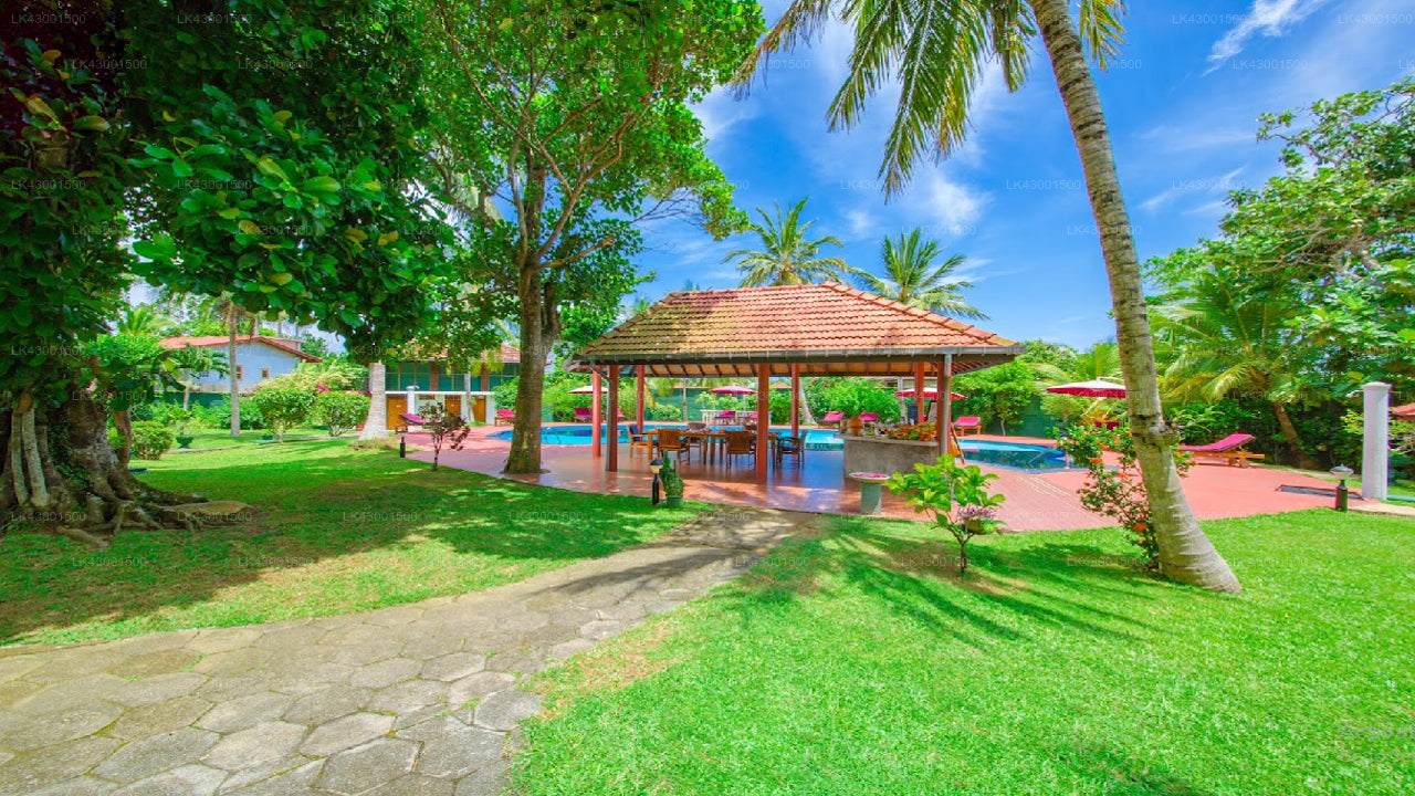 Coral Gardens, Hikkaduwa