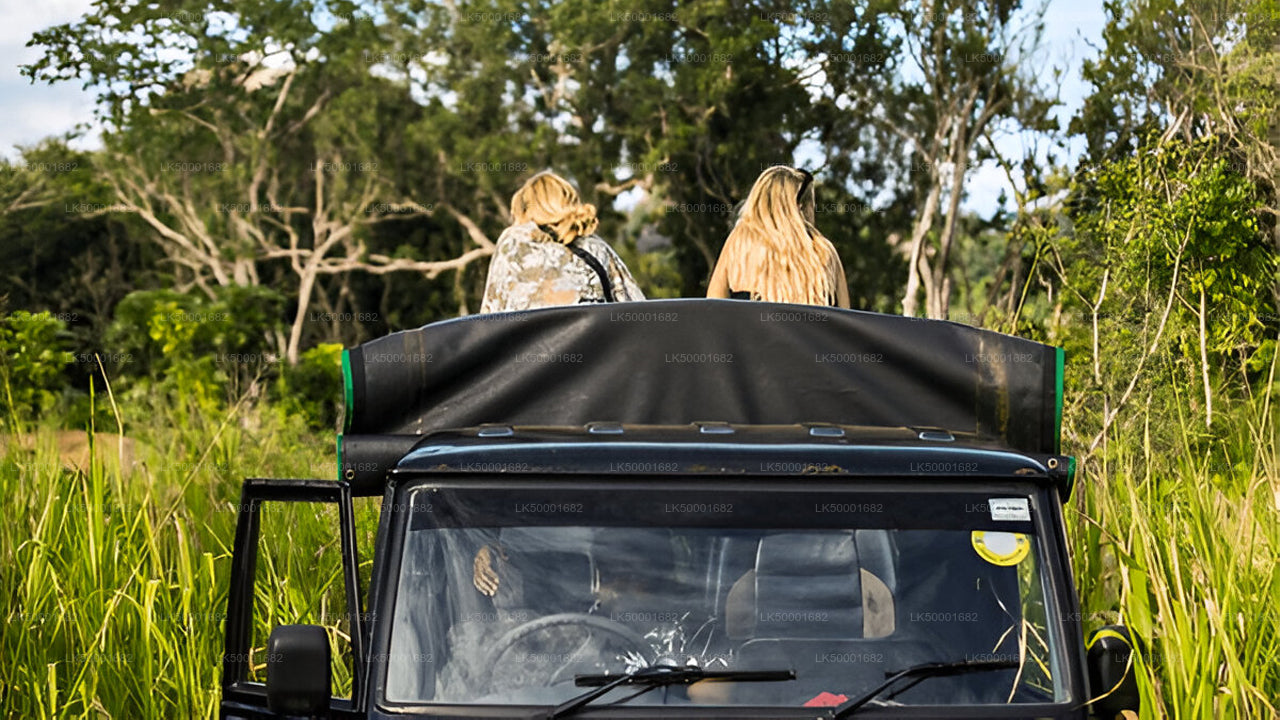 从埃拉到韦利格默的私人旅游，包含亚拉野生动物园之旅。