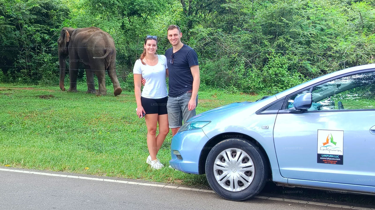 Private Tour from Tangalle to Ella with Udawalawe Safari