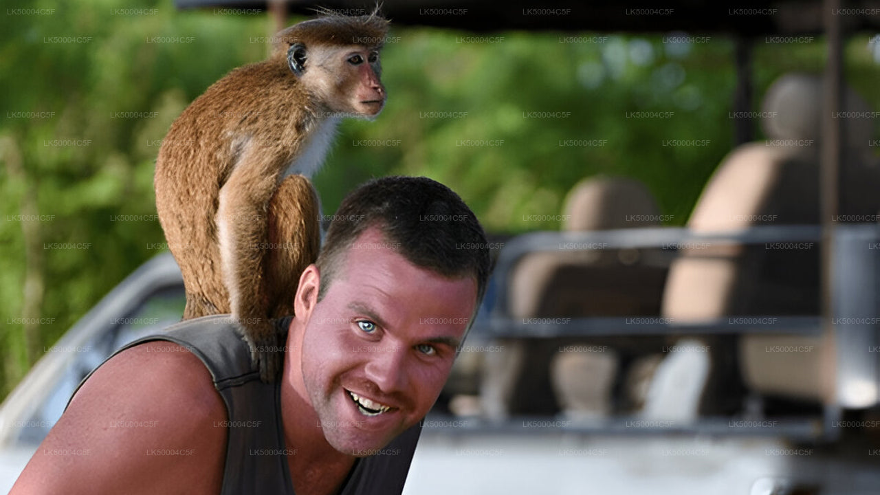 从埃拉到韦利格默的私人旅游，由乌达瓦拉维野生动物园提供。