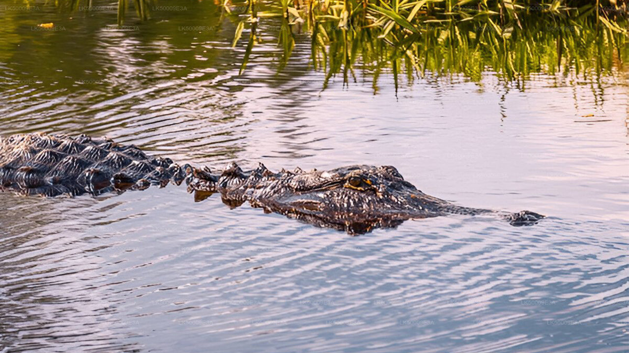 乌达瓦拉维国家公园门票