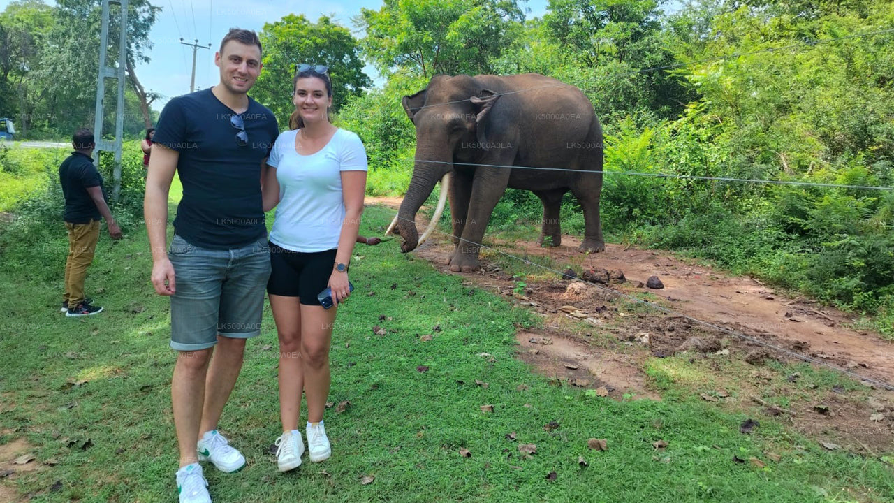 Private Tour from Nuwara Eliya to Tangalle with Udawalawe Safari