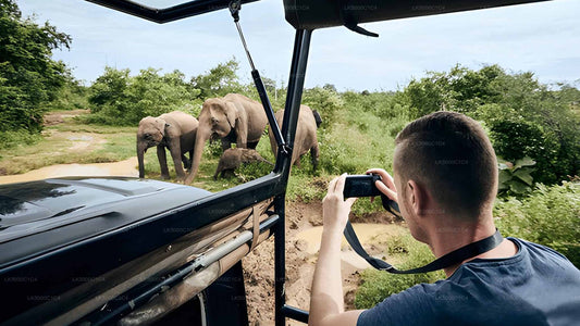 从埃拉到希里凯蒂亚的乌达瓦拉维野生动物园私人旅游
