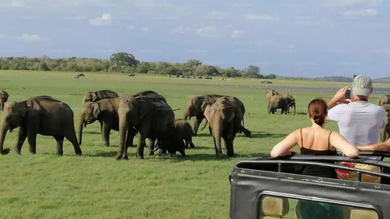 米内里亚国家公园私人野生动物园