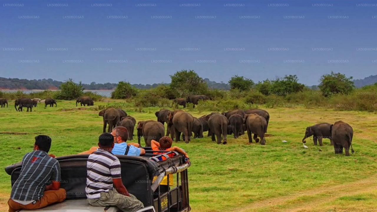 米内里亚国家公园私人野生动物园