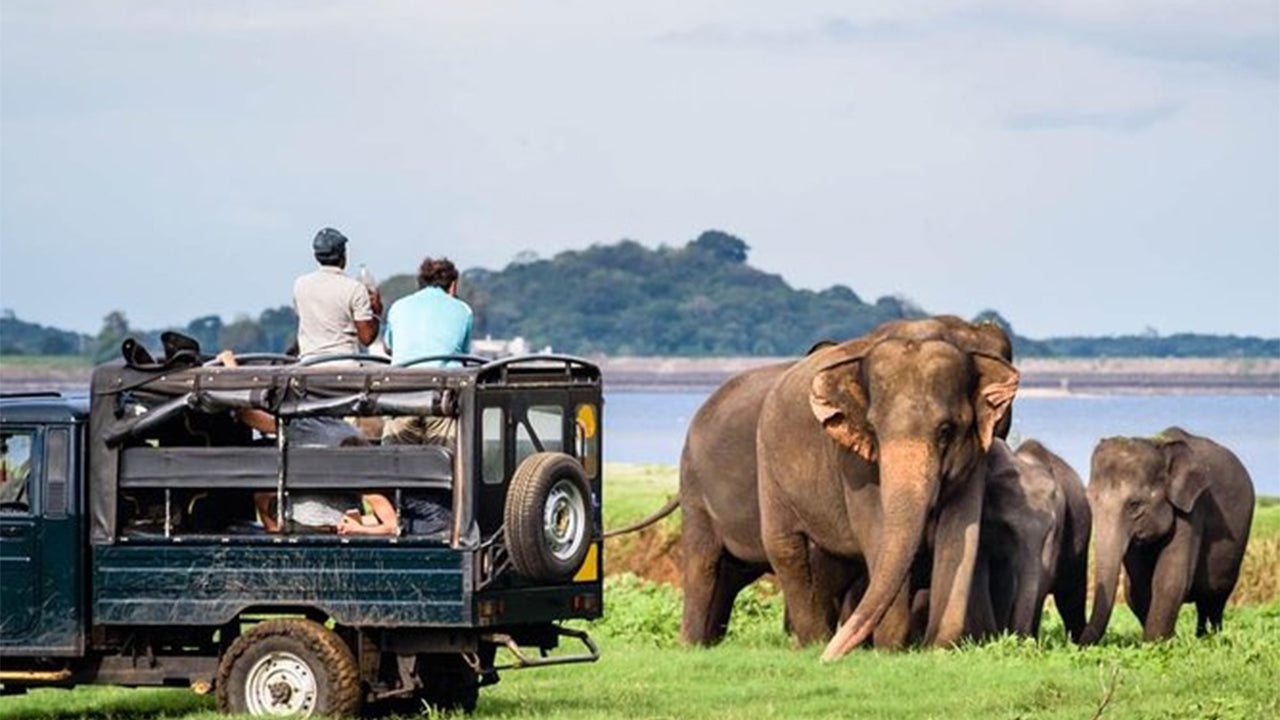 从锡吉里亚出发的米内里亚国家公园私人野生动物园