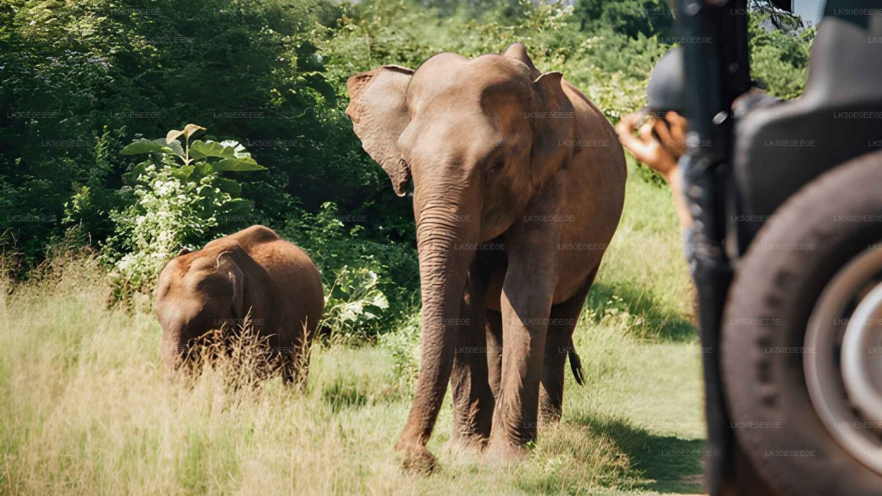 胡鲁鲁生态公园私人野生动物园