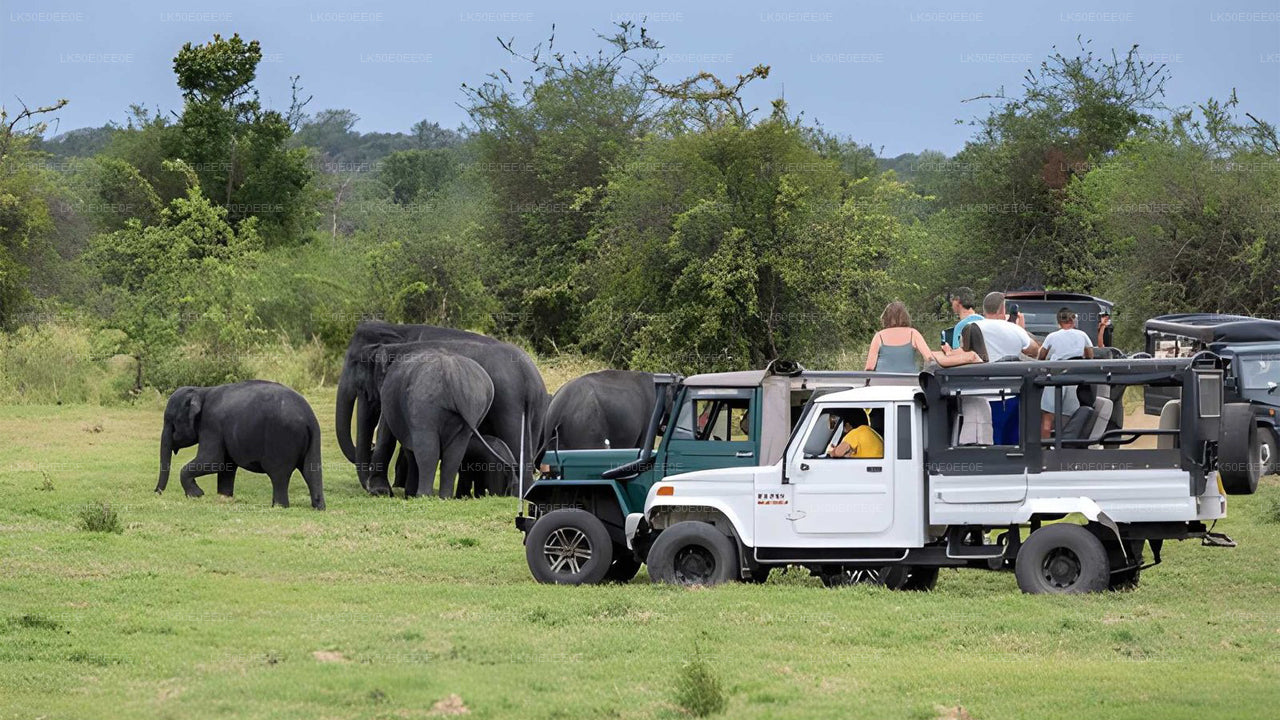 胡鲁鲁生态公园私人野生动物园