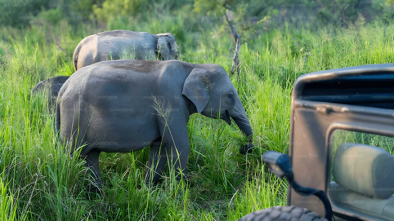胡鲁鲁生态公园私人野生动物园