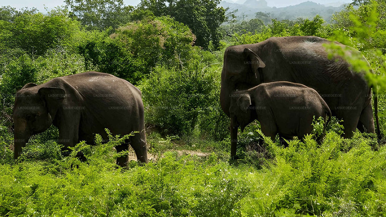 胡鲁鲁生态公园私人野生动物园