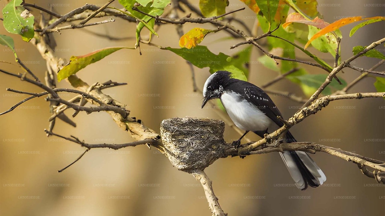 胡鲁鲁生态公园私人野生动物园