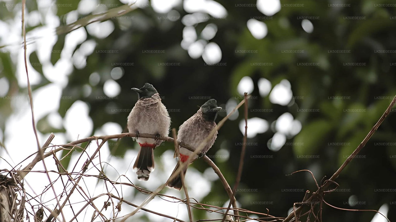 胡鲁鲁生态公园私人野生动物园