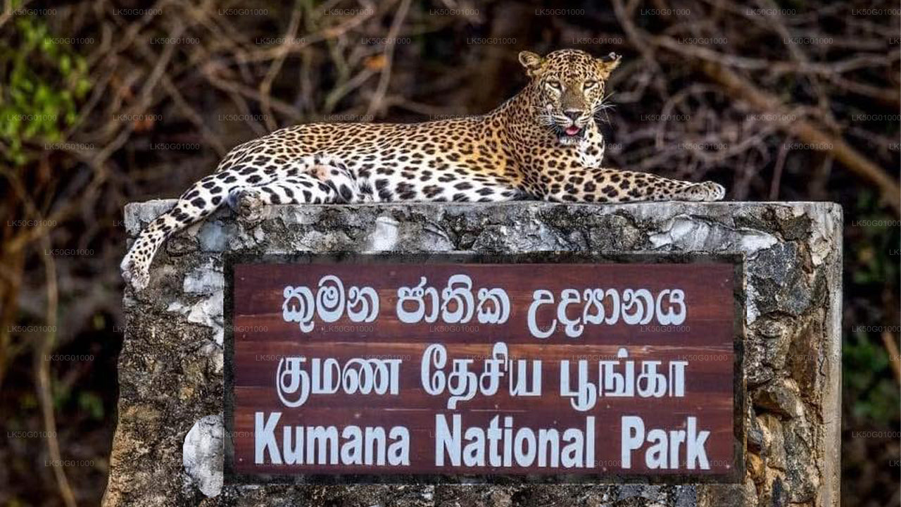 A signboard for Kumana National Park with an image of a leopard on top.