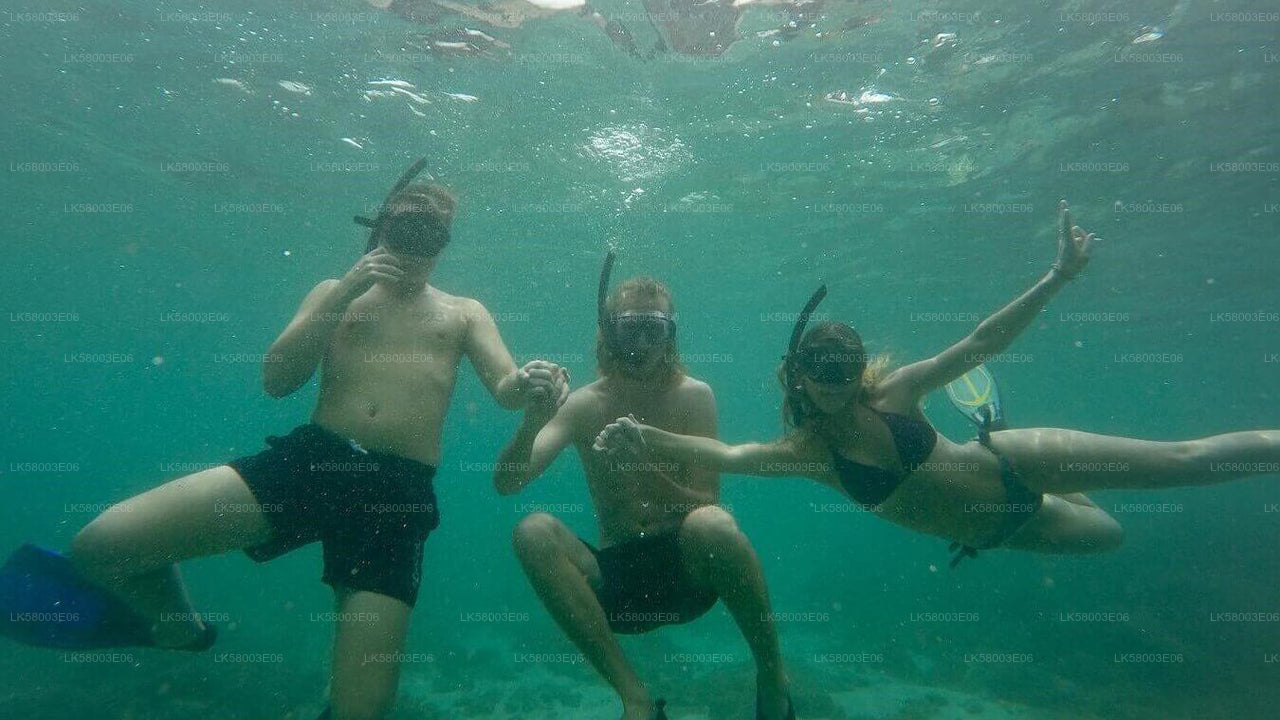 在阿汉加马浮潜