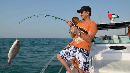 从加勒出发的拖网捕鱼之旅