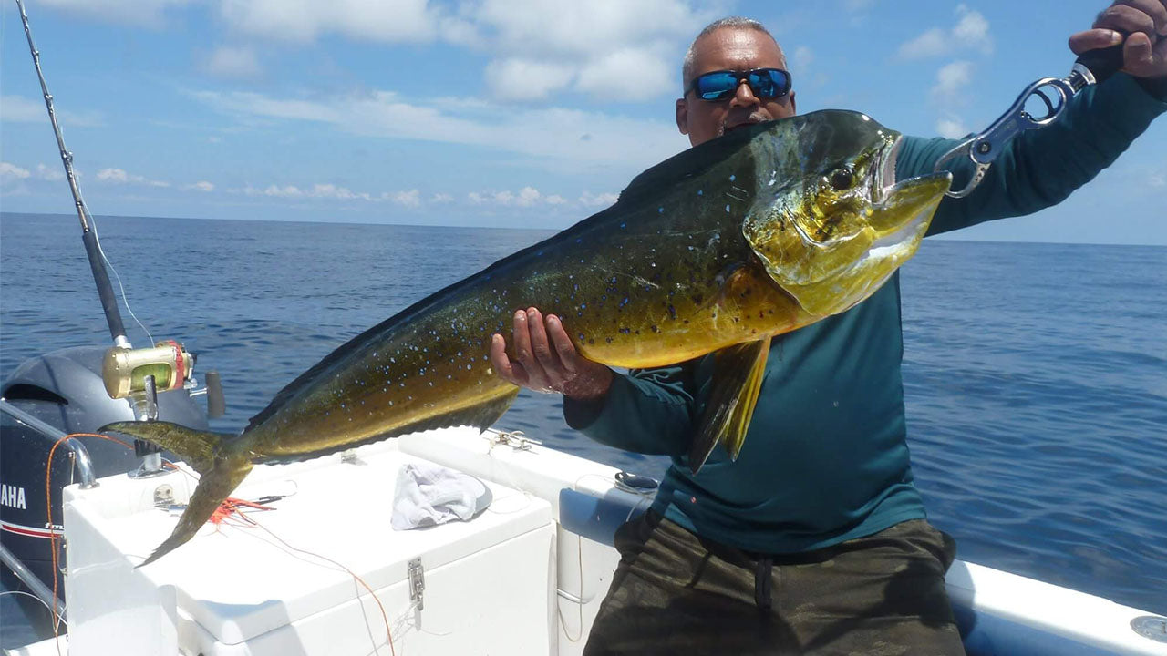 从加勒出发的拖网捕鱼之旅