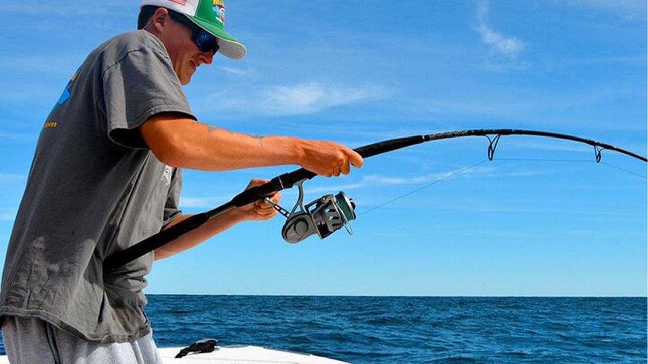 从加勒出发的拖网捕鱼之旅