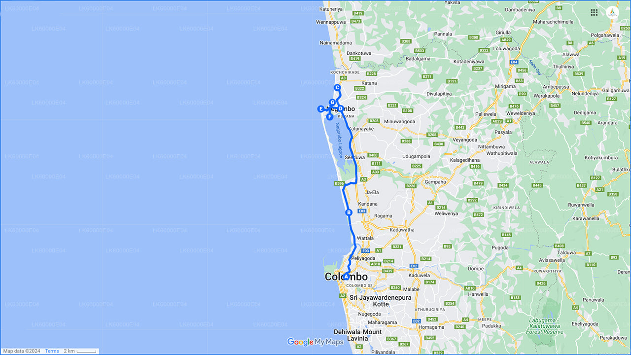 尼甘布市区游（科伦坡出发）