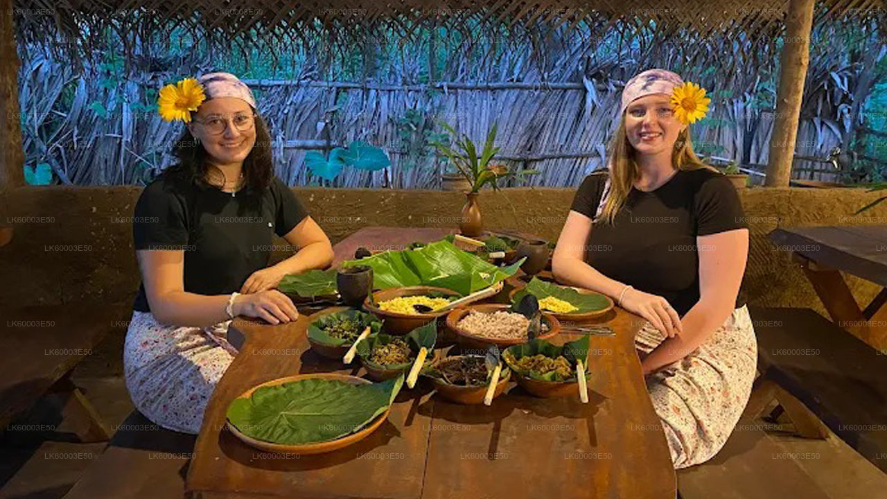 斯里兰卡农业、宝石矿和乡村体验——锡兰1850