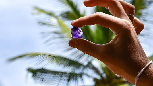 斯里兰卡农业、宝石矿和乡村体验——锡兰1850