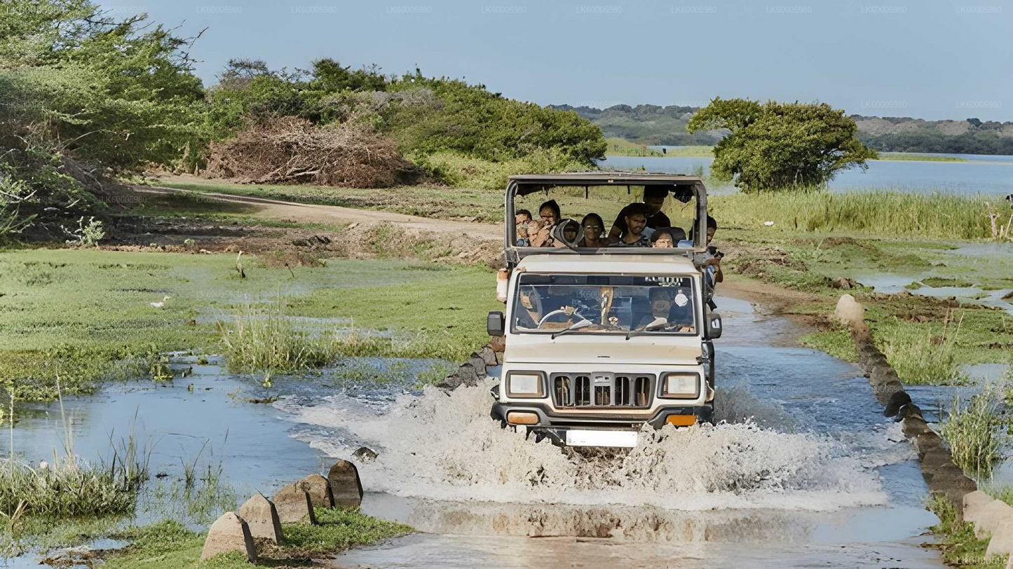 Private Tour from Ella to Arugam bay with Lahugala Safari