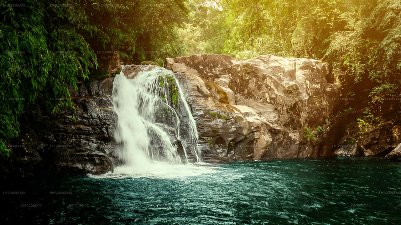 探索辛哈拉贾雨林（半日游）