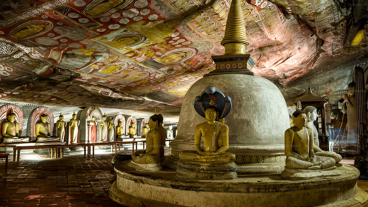 Sigiriya and Dambulla Cave from Bentota