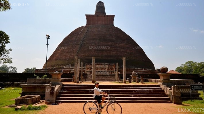 Sacred City of Anuradhapura from Trincomalee