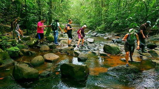 从阿汉加马出发，前往辛哈拉贾雨林一日游。