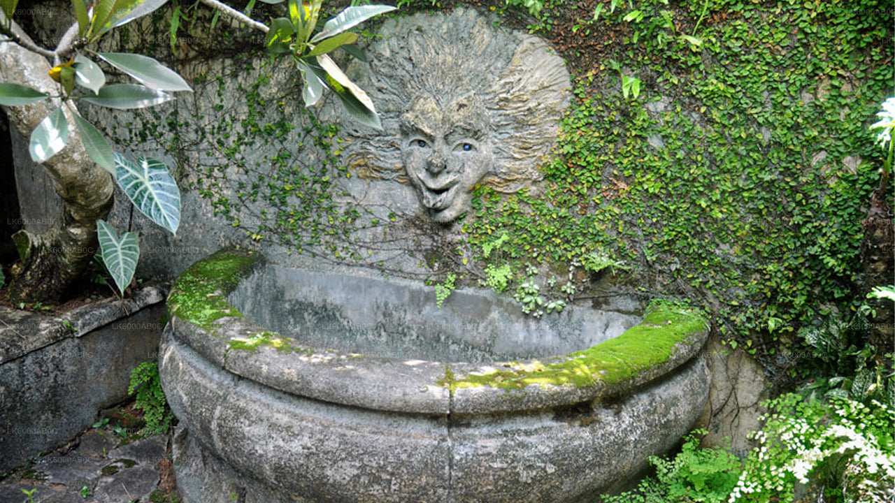 从贝鲁瓦拉出发，游览本托塔市区和加勒