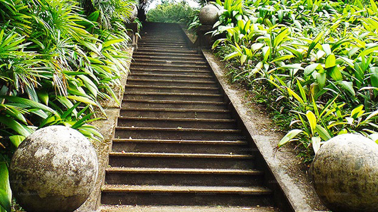 从贝鲁瓦拉出发，游览本托塔市区和加勒