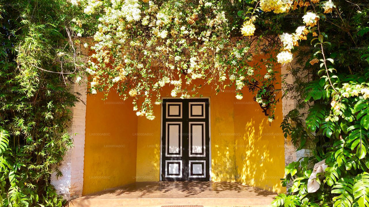 从贝鲁瓦拉出发，游览本托塔市区和加勒