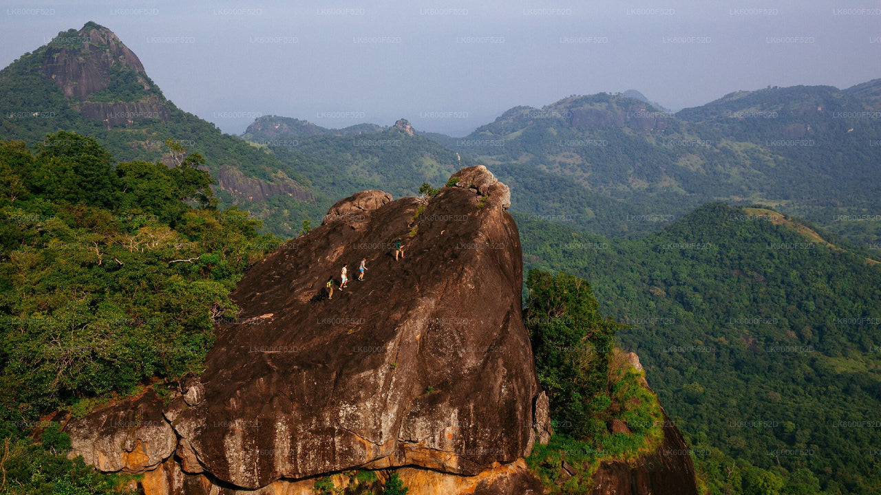 Camping Experience in Gal Oya (3 Days)