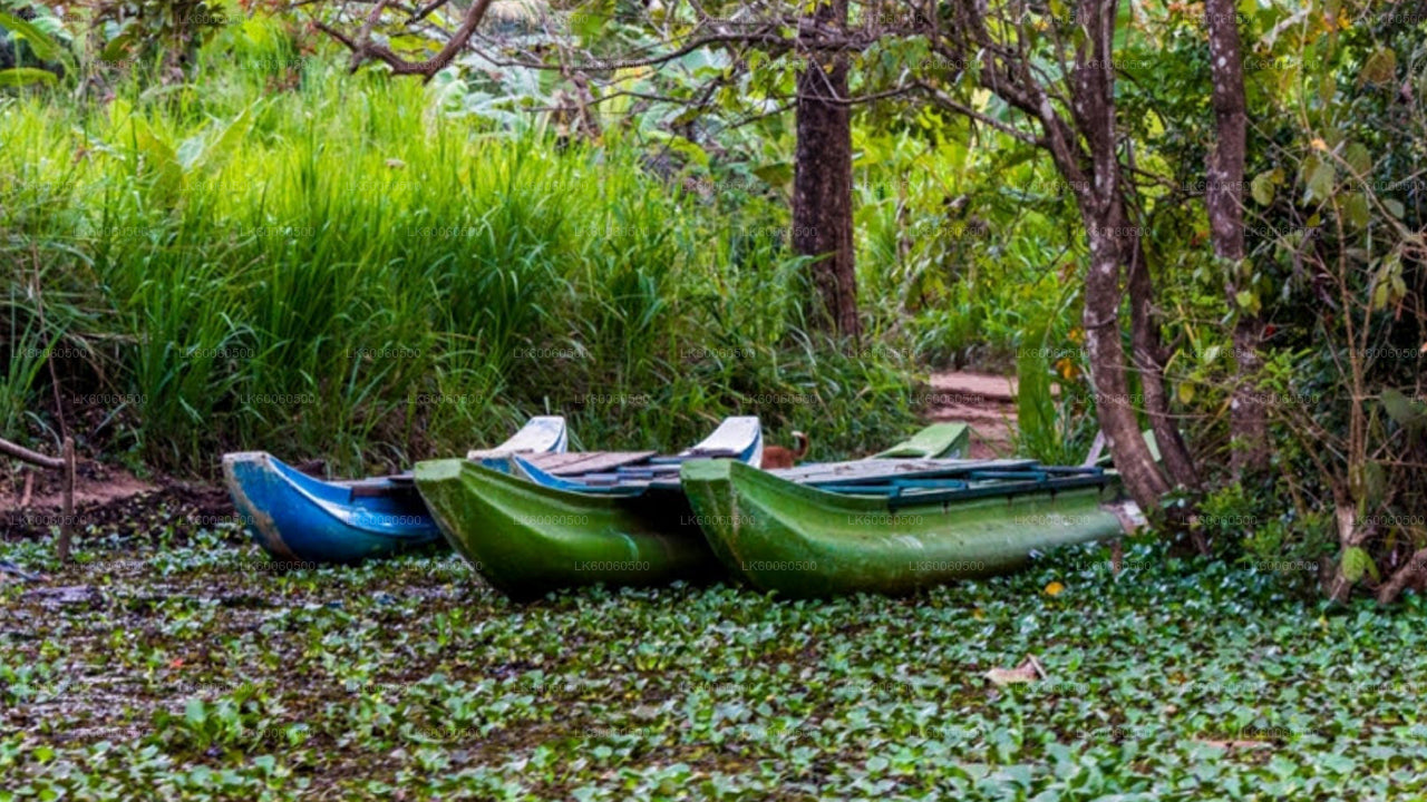哈伯勒内出发的希里瓦杜纳村之旅