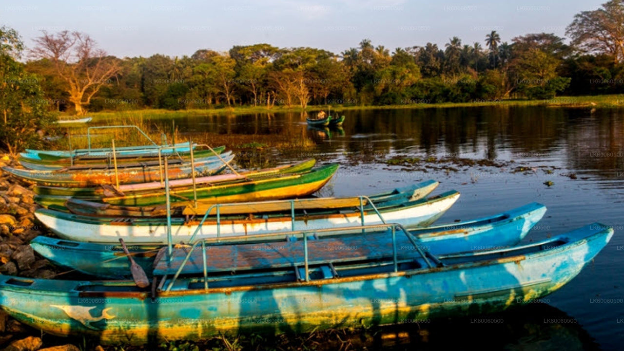哈伯勒内出发的希里瓦杜纳村之旅
