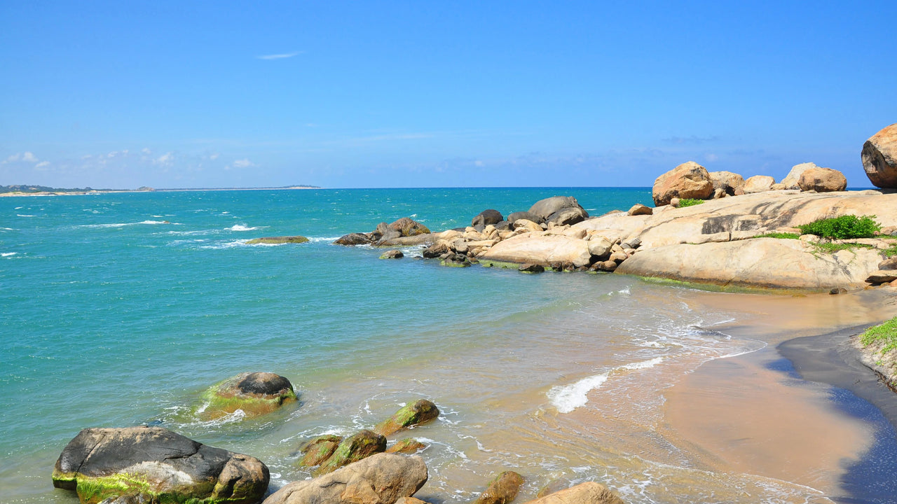 从阿鲁甘湾出发的库马纳乡村和野生动物之旅