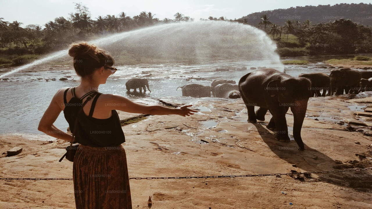 从基图尔加拉出发的康提城市之旅