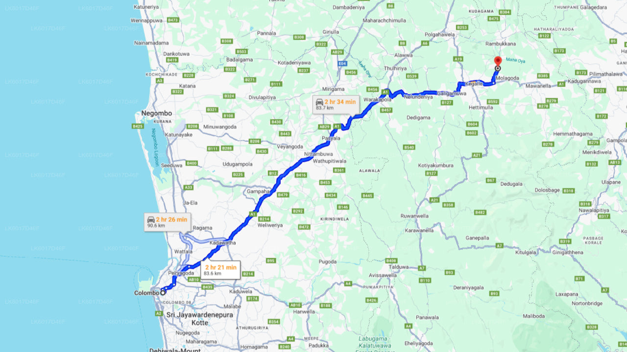 科伦坡千禧大象基金会