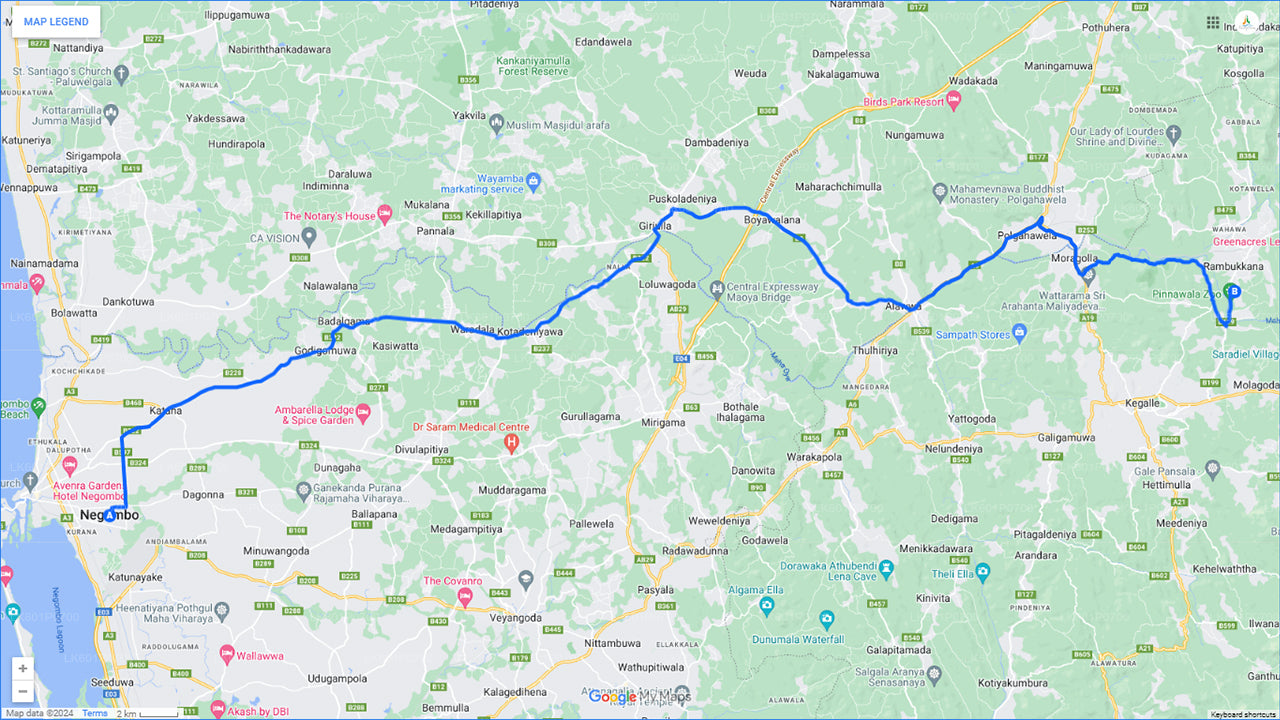 来自尼甘布的品纳瓦拉大象孤儿院