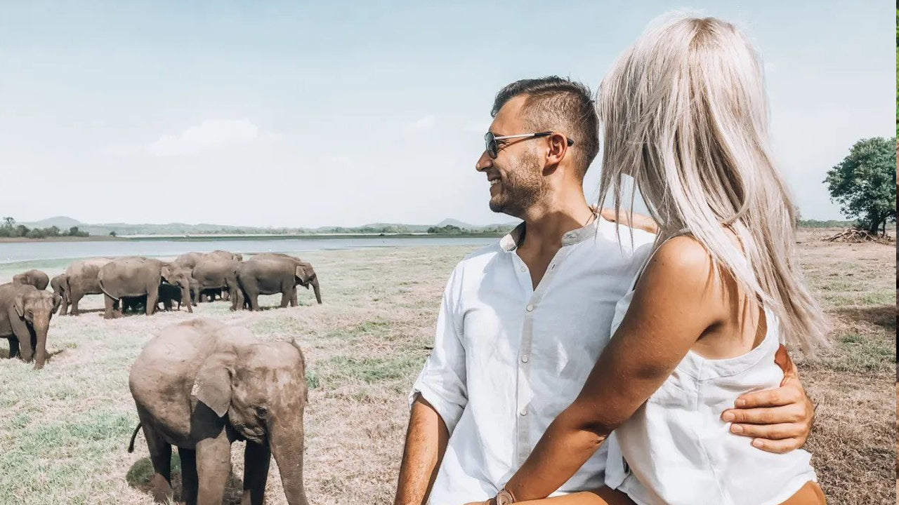 锡吉里亚的锡吉里亚岩石和野象探险之旅