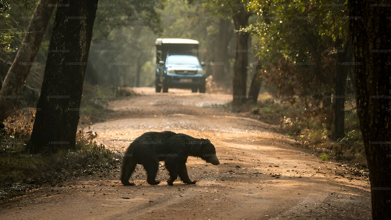 乌纳瓦图纳出发的雅拉国家公园野生动物园
